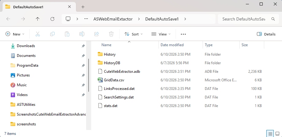 Auto Save directory structure