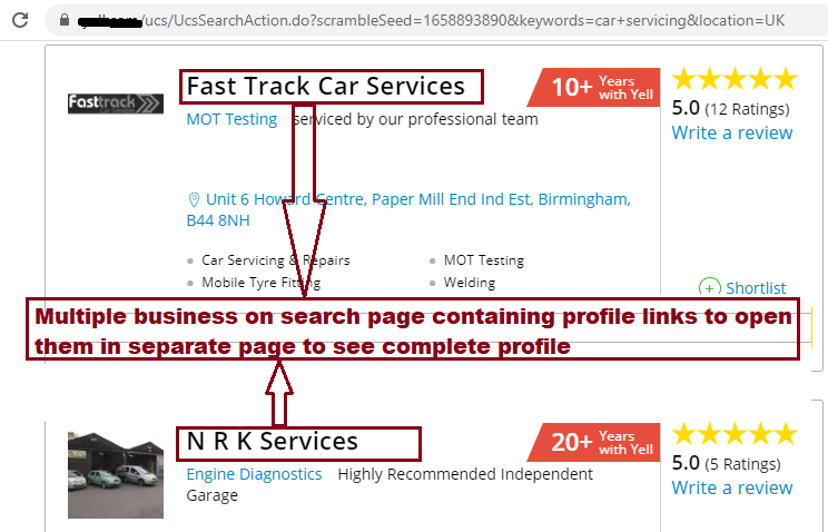 Anysite Scraper Search page